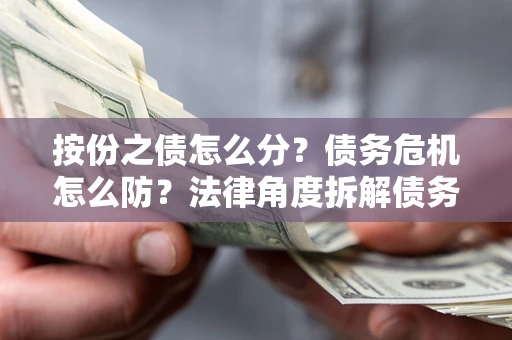 北京按份之债怎么分？债务危机怎么防？法律角度拆解债务分配与风险自保指南