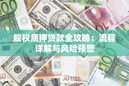 北京股权质押贷款全攻略：流程详解与风险预警