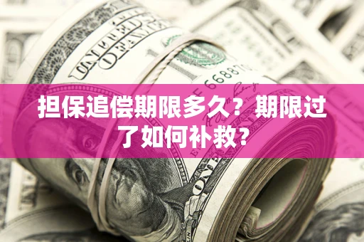 北京担保追偿期限多久？期限过了如何补救？