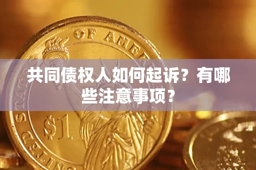 北京共同债权人如何起诉？有哪些注意事项？